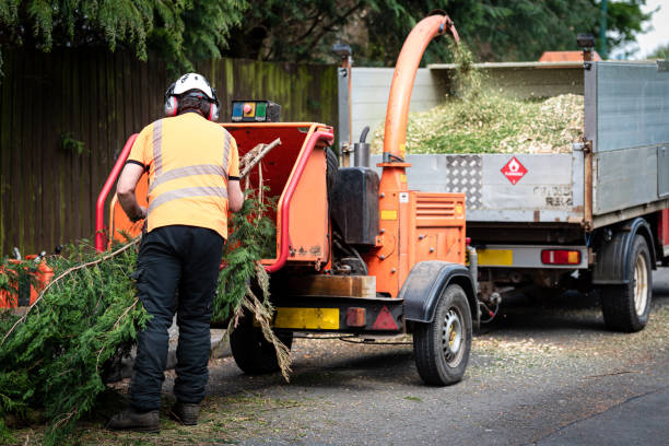 Best Commercial Tree Services  in Greenville, MI