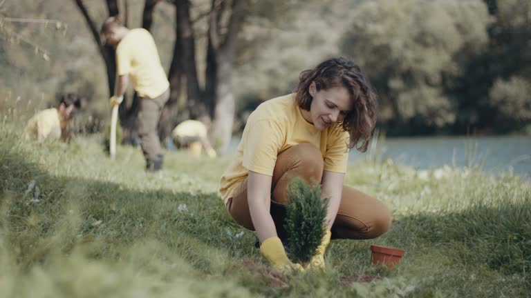 Best Lawn Watering Services  in Greenville, MI